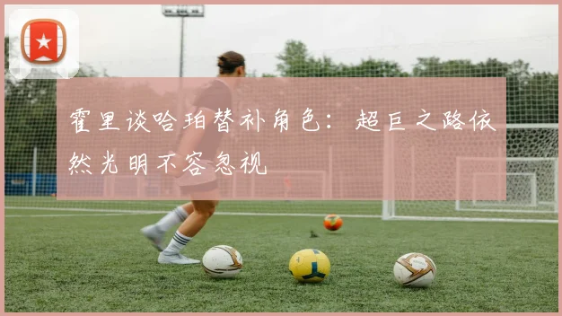 霍里谈哈珀替补角色：超巨之路依然光明不容忽视