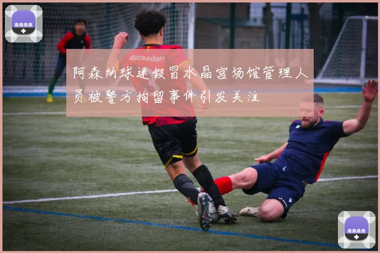 阿森纳球迷假冒水晶宫场馆管理人员被警方拘留事件引发关注