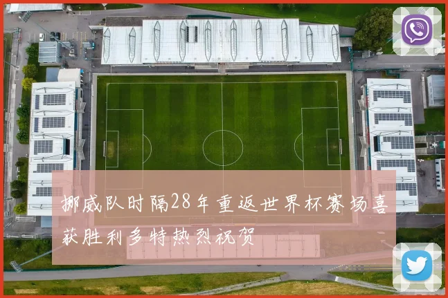 挪威队时隔28年重返世界杯赛场喜获胜利多特热烈祝贺